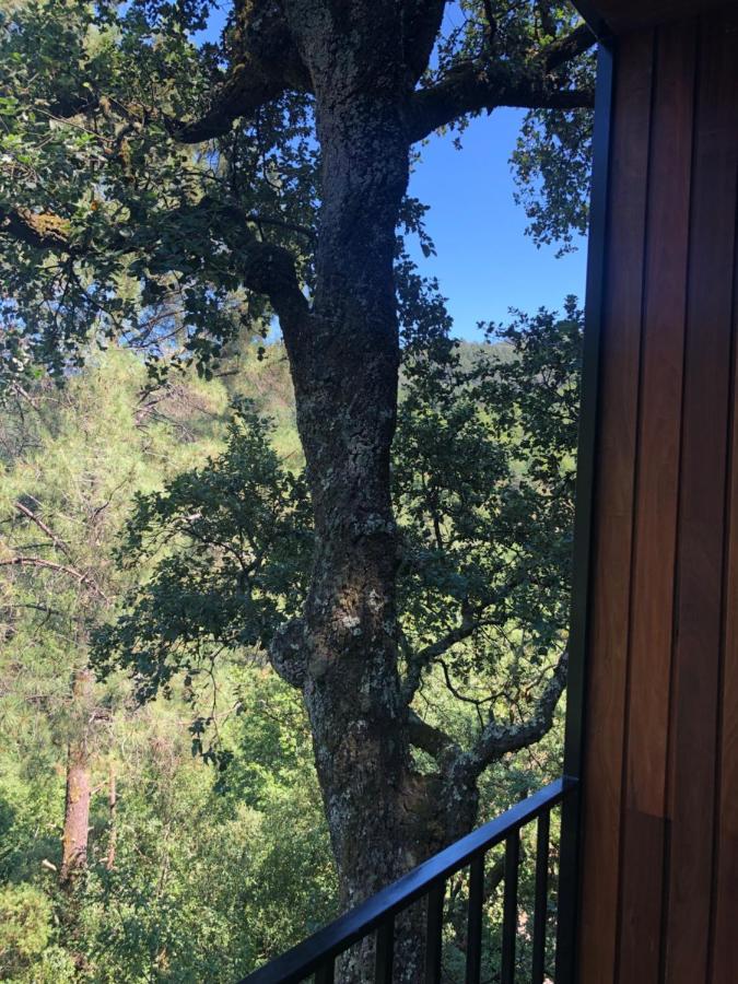 Sobreiro Valley - Casa Firmino Виейра-ду-Минью Экстерьер фото